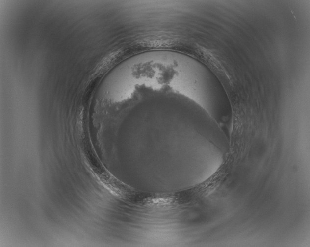 X0000056350163200509091605