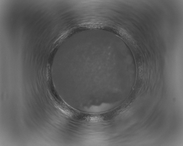 X0000056350165200509091605