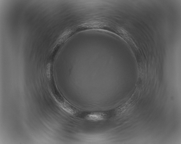 X0000056350167200509091606