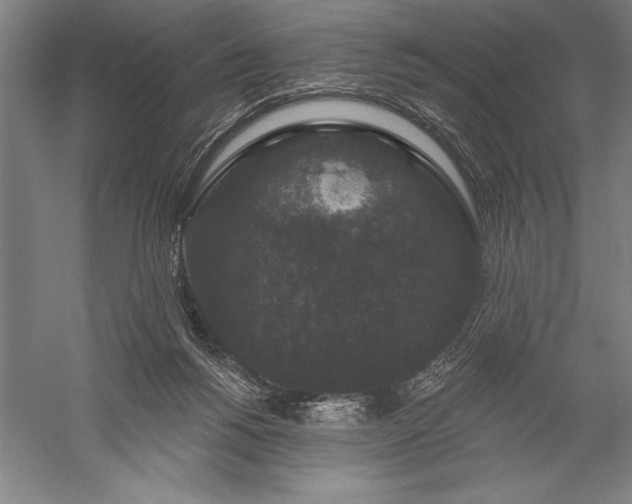 X0000056350168200509091606