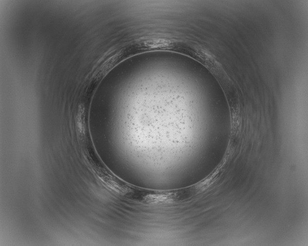 X0000056350170200509091606