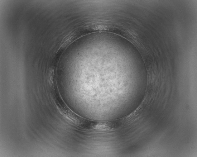 X0000056350171200509091606