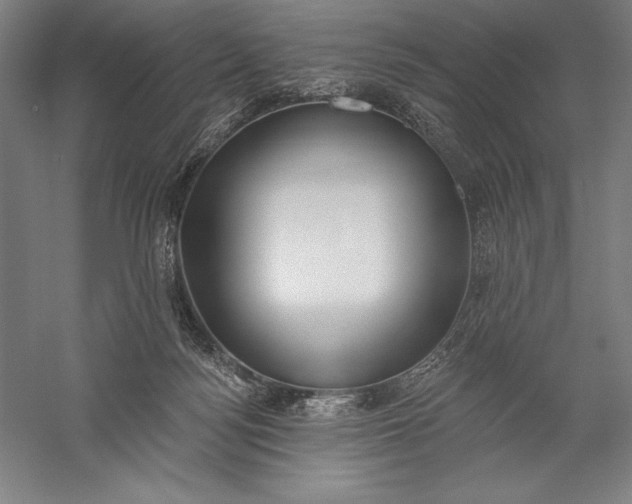 X0000056350172200509091606