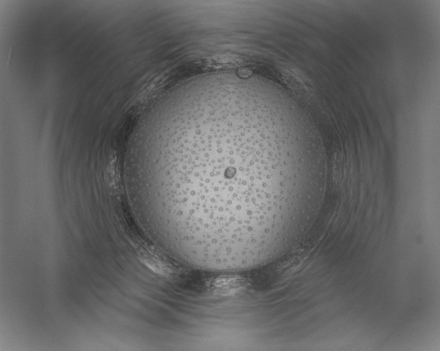 X0000056350173200509091606