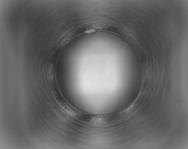 X0000056350174200509091606