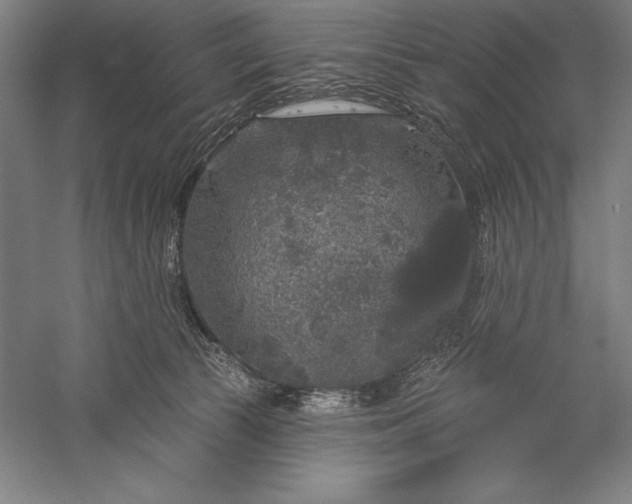 X0000056350177200509091606