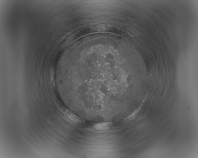 X0000056350178200509091606