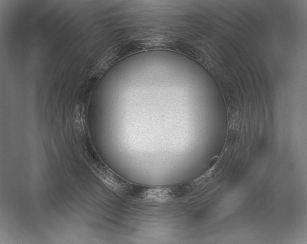 X0000056350179200509091606