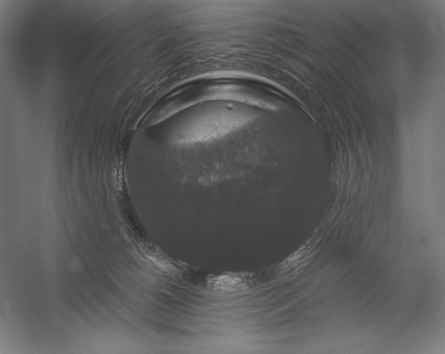 X0000056350180200509091606