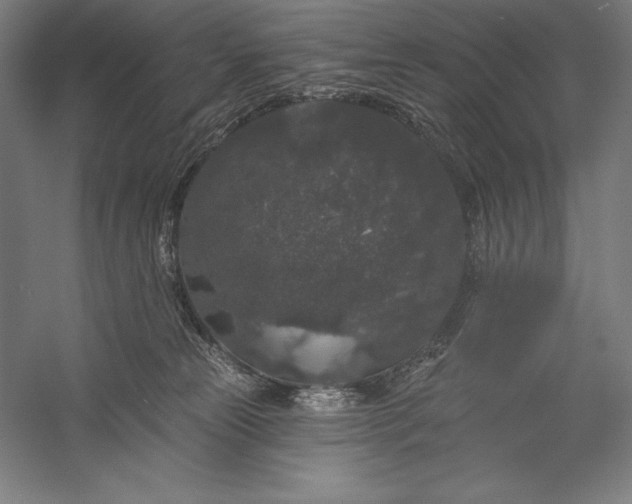 X0000056350181200509091606