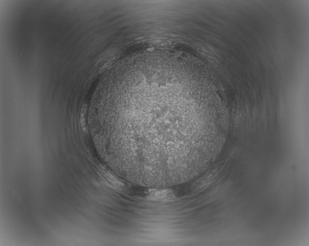 X0000056350185200509091606