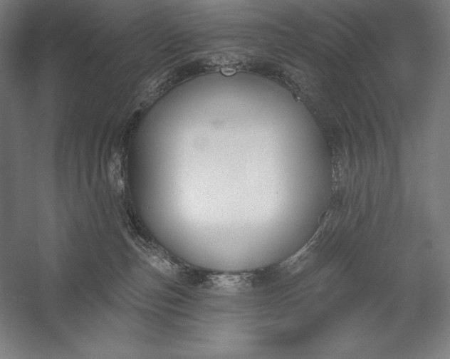 X0000056350187200509091606