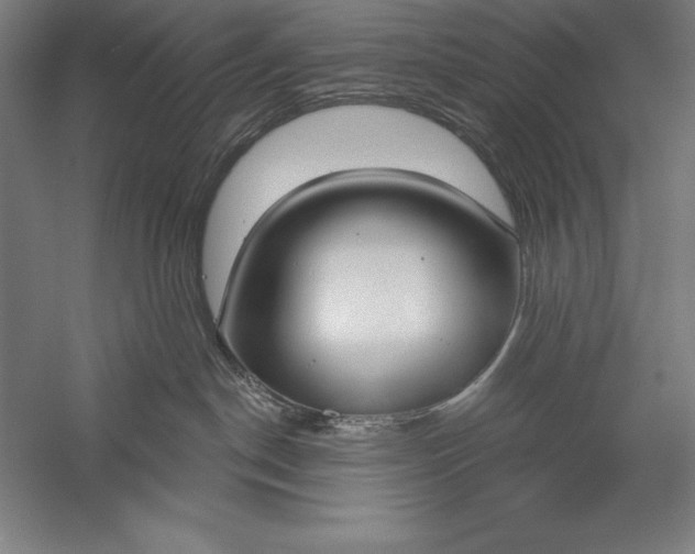 X0000056350190200509091606