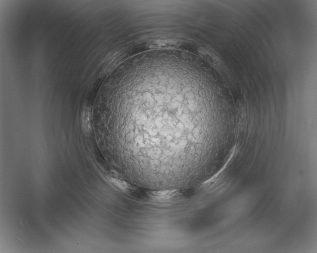 X0000056350191200509091606