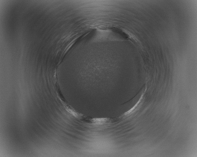 X0000056350192200509091606