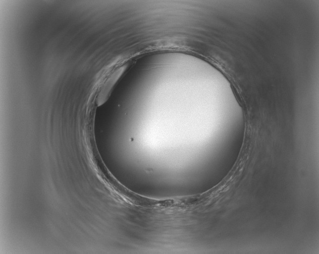 X0000056350193200509091605