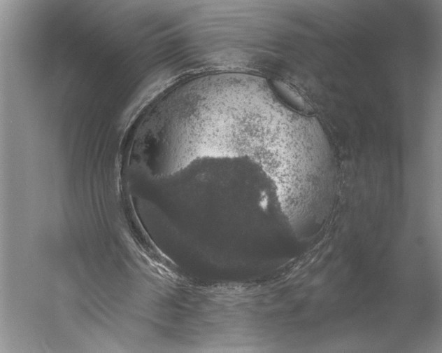 X0000056350194200509091605