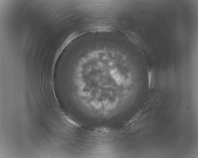 X0000056350195200509091605