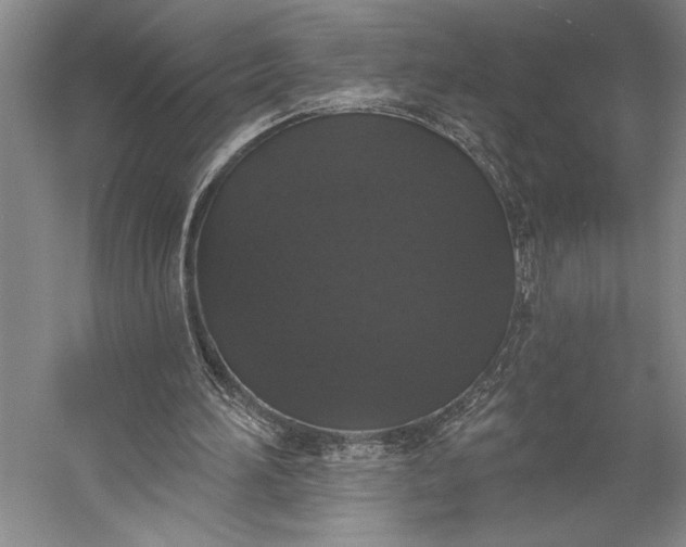 X0000056350196200509091605