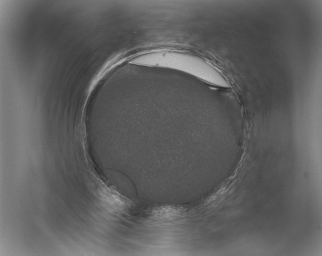 X0000056350198200509091605