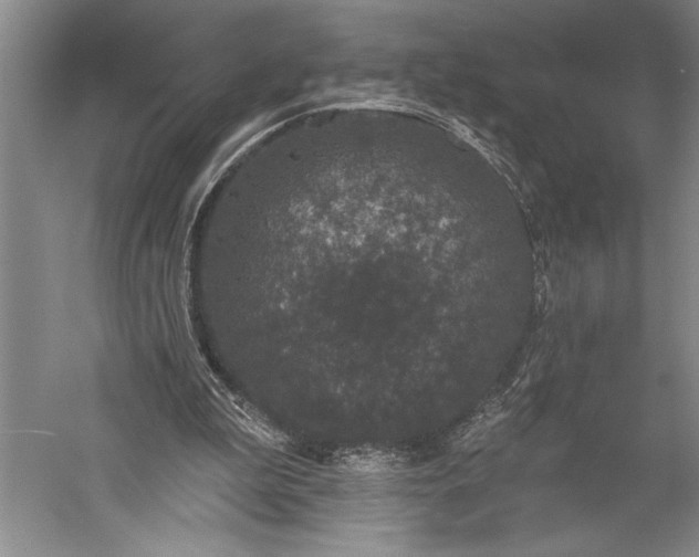 X0000056350199200509091605