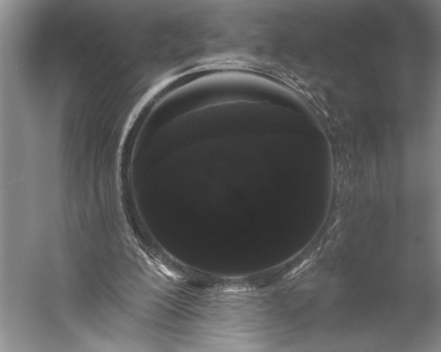 X0000056350200200509091605