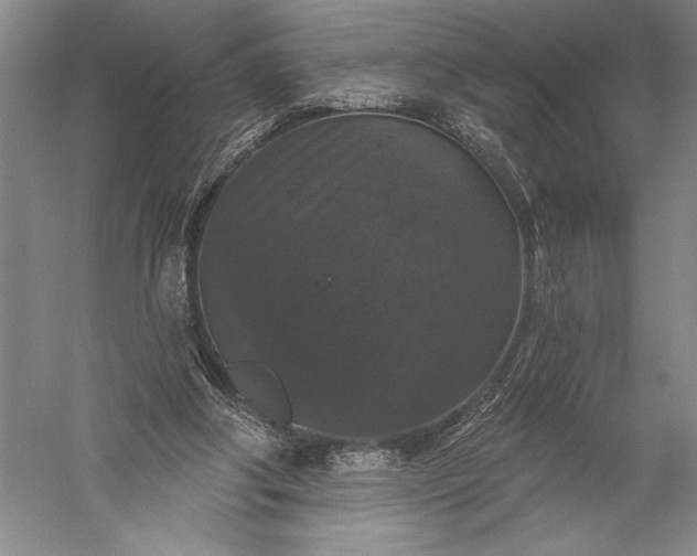 X0000056350202200509091605