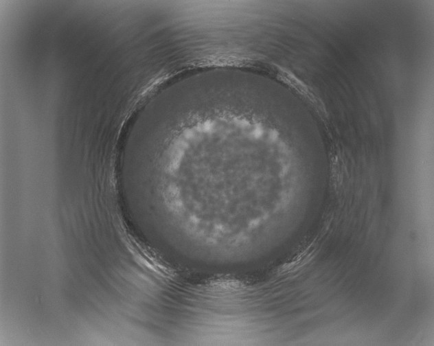 X0000056350203200509091605