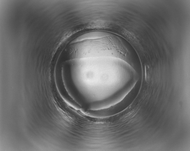 X0000056350204200509091605