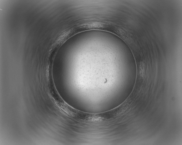 X0000056350206200509091605