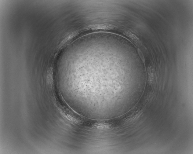 X0000056350207200509091605