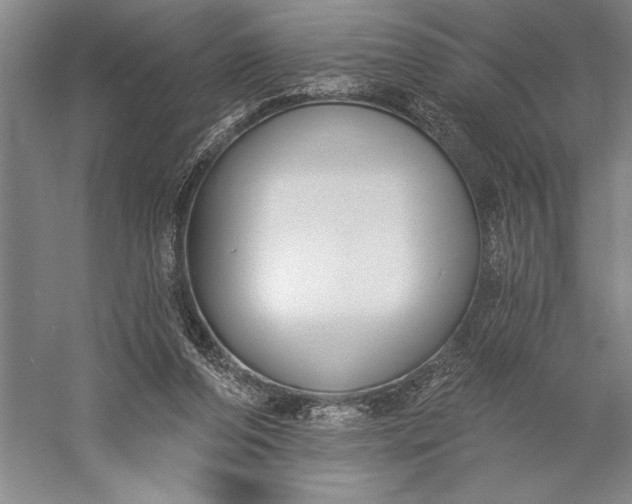 X0000056350208200509091605