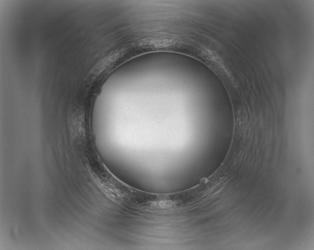 X0000056350212200509091605