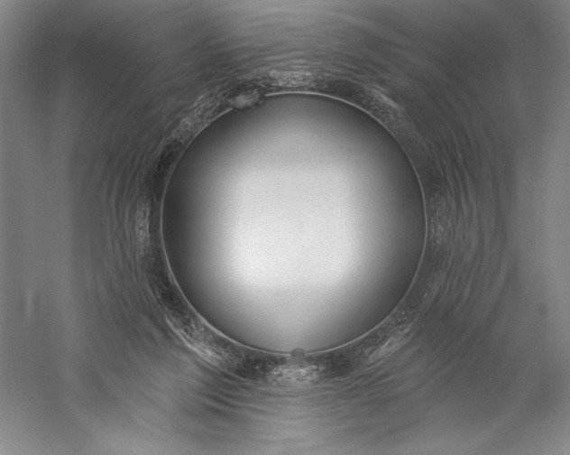 X0000056350213200509091605