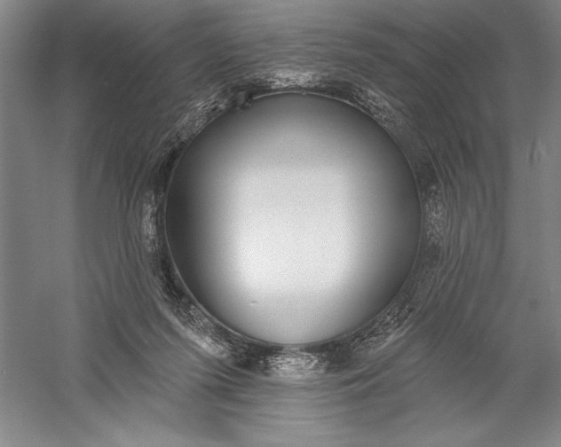 X0000056350215200509091605