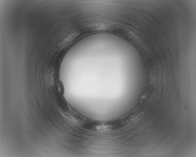 X0000056350216200509091605