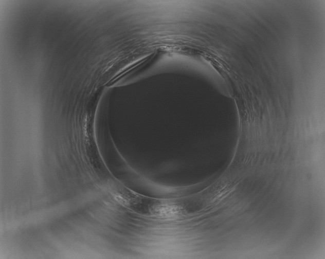 X0000056350219200509091605