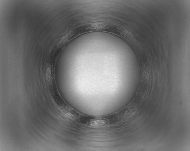 X0000056350220200509091605