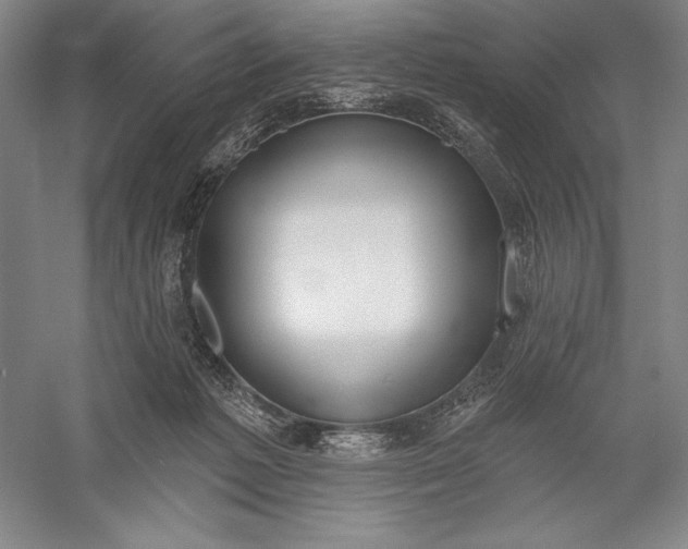 X0000056350221200509091605