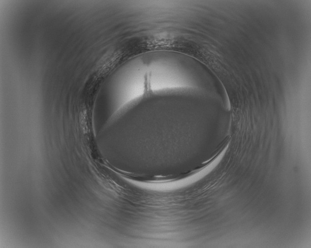 X0000056350224200509091605