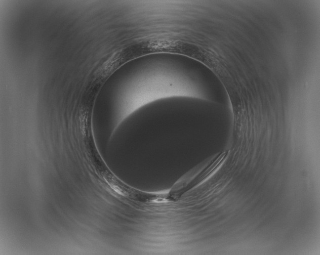 X0000056350227200509091605