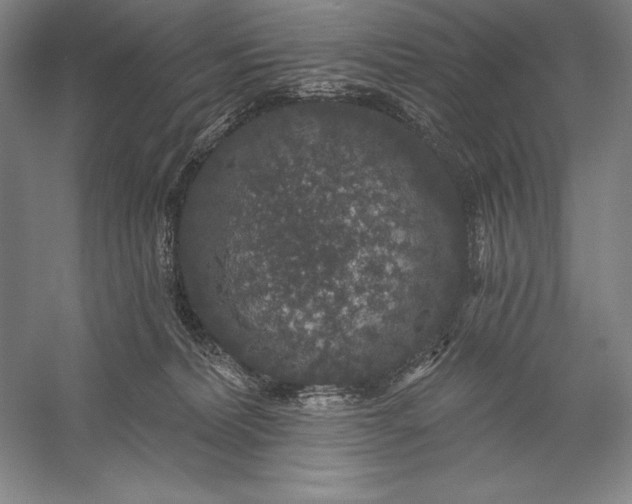 X0000056350228200509091605