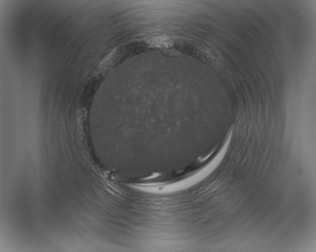 X0000056350229200509091604