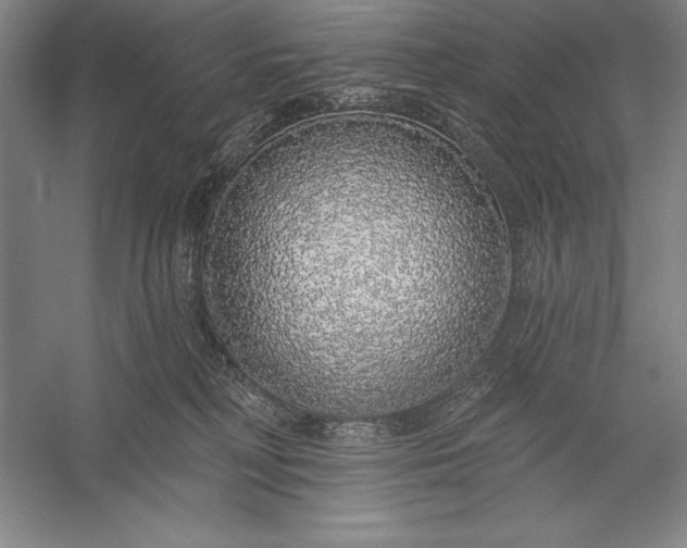 X0000056350230200509091604