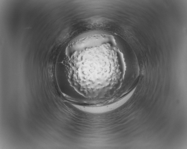 X0000056350232200509091604