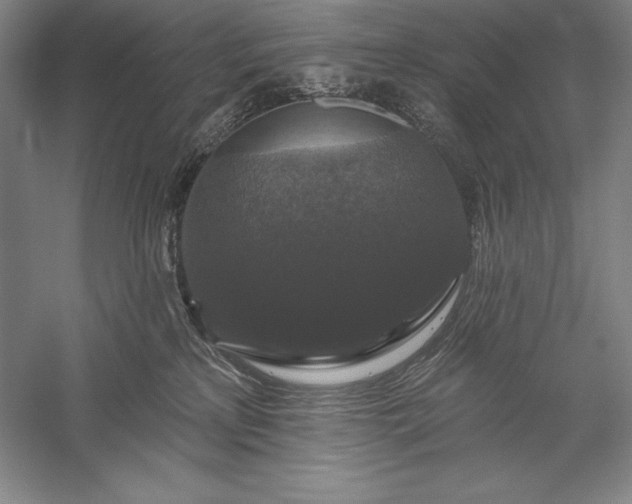 X0000056350233200509091604