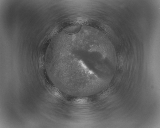 X0000056350236200509091604