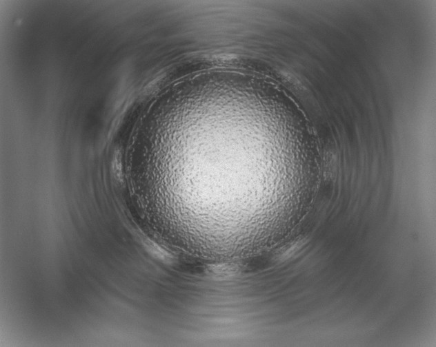 X0000056350238200509091604