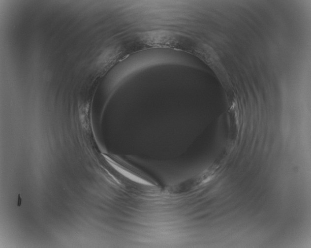 X0000056350239200509091604