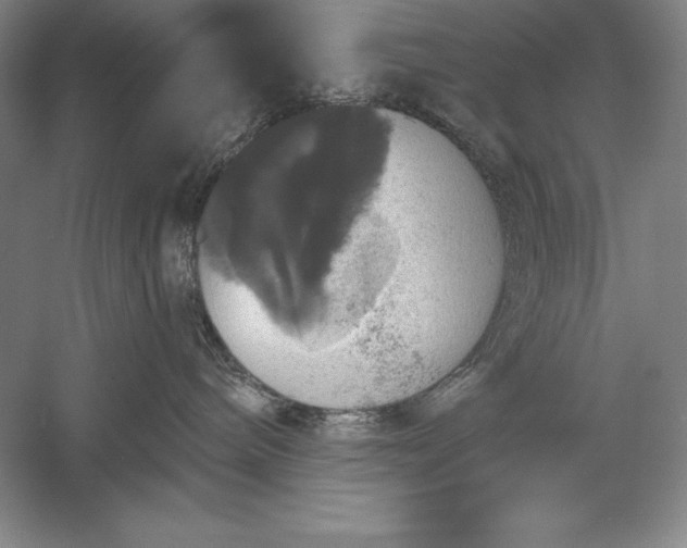 X0000056350240200509091604